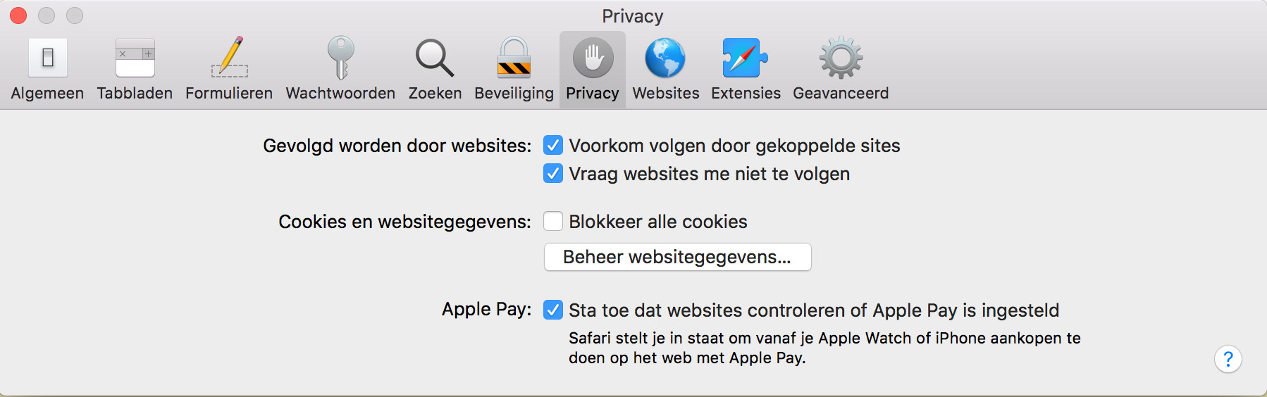 Schermafbeelding tabblad Privacy in Safari